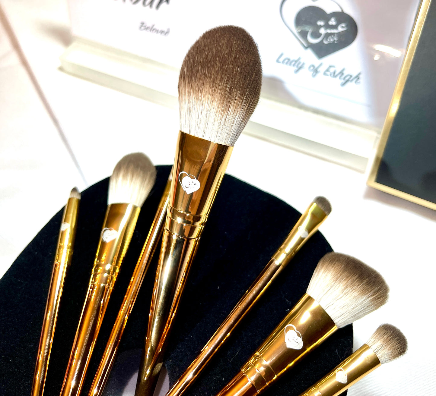 Delbar, The Beloved Collection by Lady of Eshgh 8 pc Fine Makeup Brush Set with Bag.