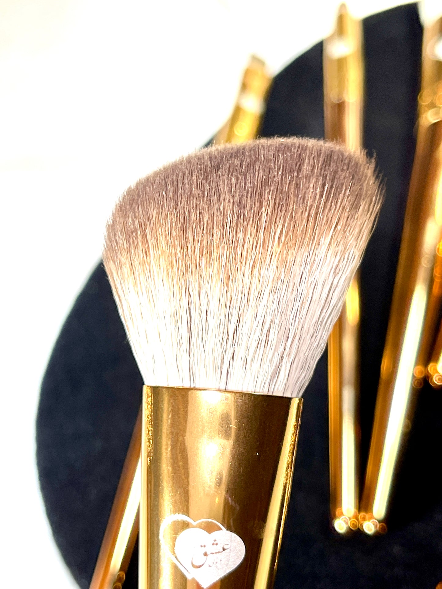 Delbar, The Beloved Collection by Lady of Eshgh 8 pc Fine Makeup Brush Set with Bag.